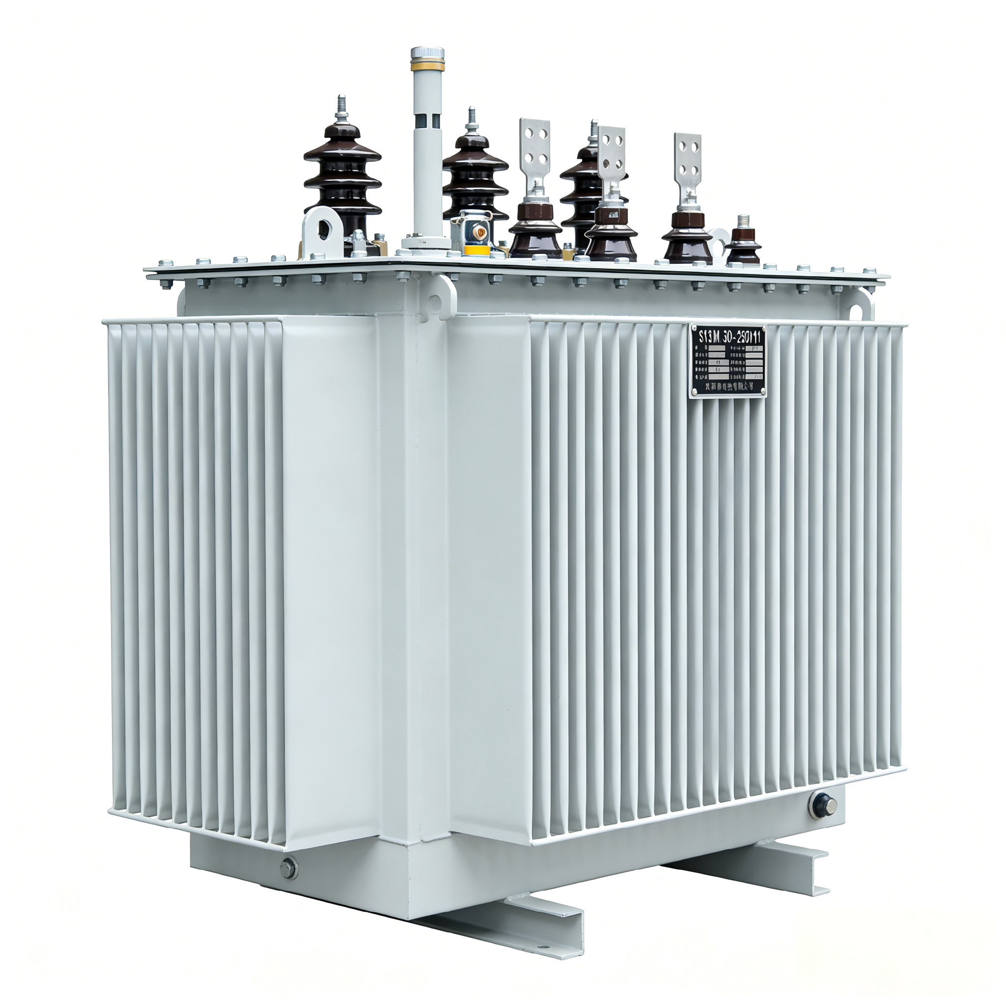 Power Distribution S13-M-30-2500/10 full hermetically sealed transformer